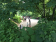 Jogadores a jogar Pokémon GO em Central Park, Nova Iorque, no verão de 2016