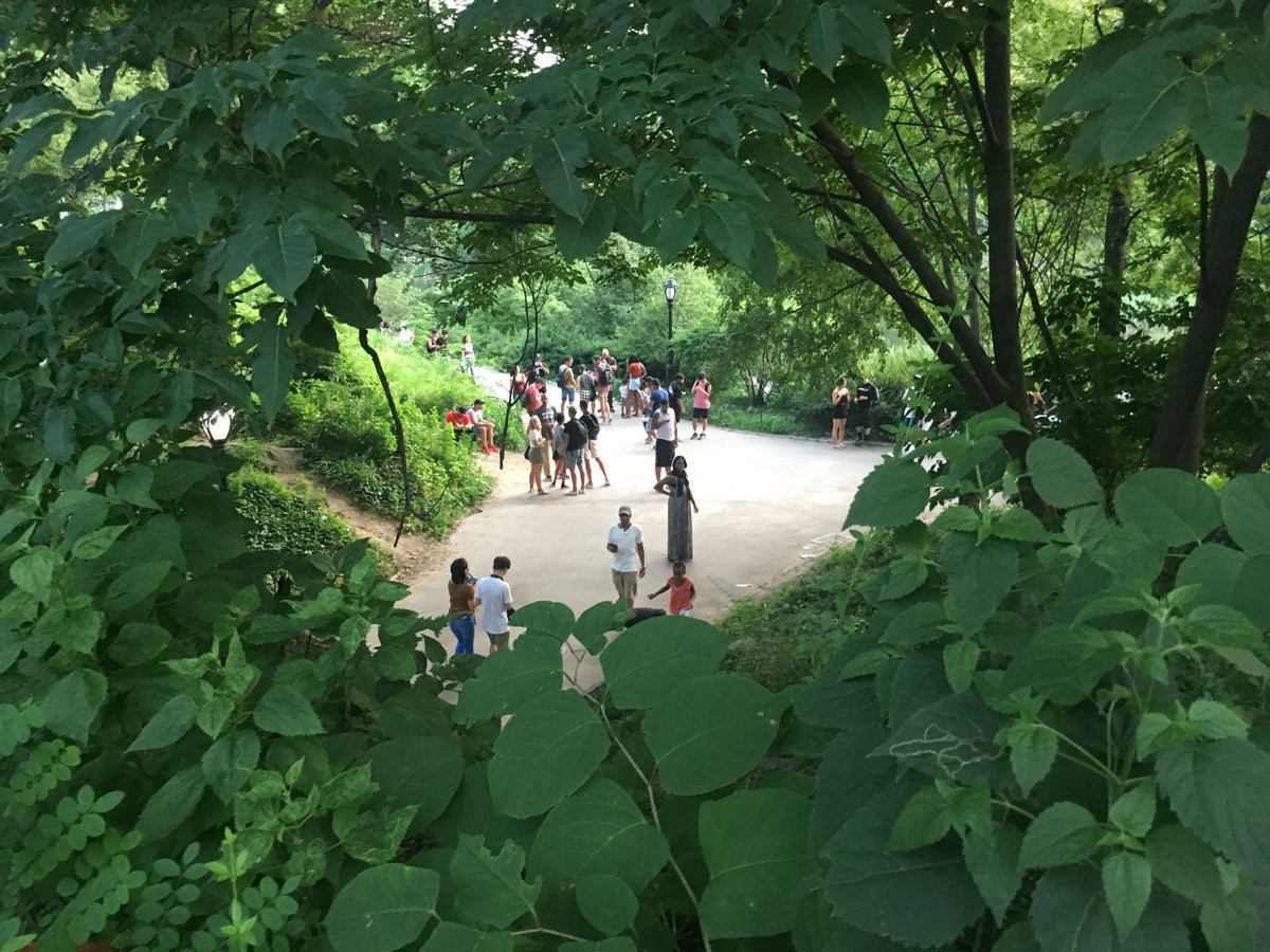 Jogadores a jogar Pokémon GO em Central Park, Nova Iorque, no verão de 2016