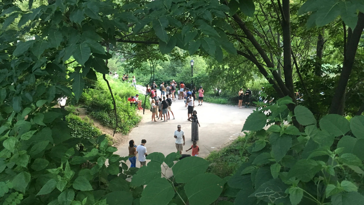 Jogadores a jogar Pokémon GO em Central Park, Nova Iorque, no verão de 2016